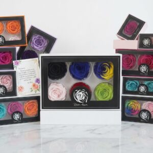 Confezione da 6 rose stabilizzate