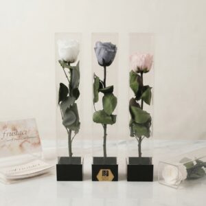 Rose stabilizzate a stelo lungo "lulu Rose"