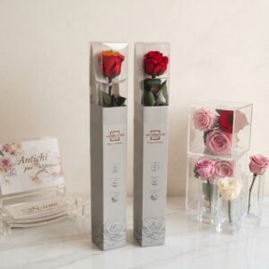 Rose Stabilizzate a Stelo Lungo Verdissimo