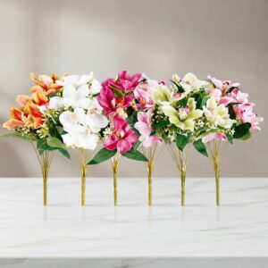 Bush Cimbidium x 12